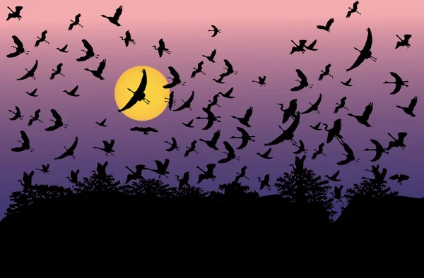 Flygande fåglar och träd vid solnedgången — Stock vektor