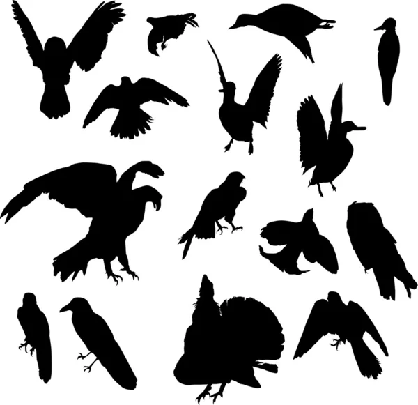Quince pájaros — Vector de stock