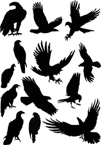 Trece siluetas de águila — Archivo Imágenes Vectoriales