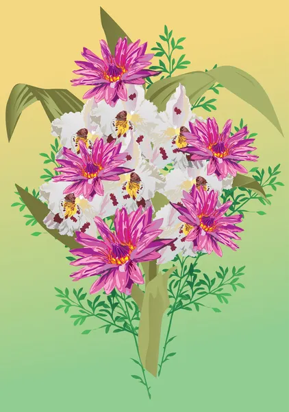 Bouquet con loto — Vettoriale Stock