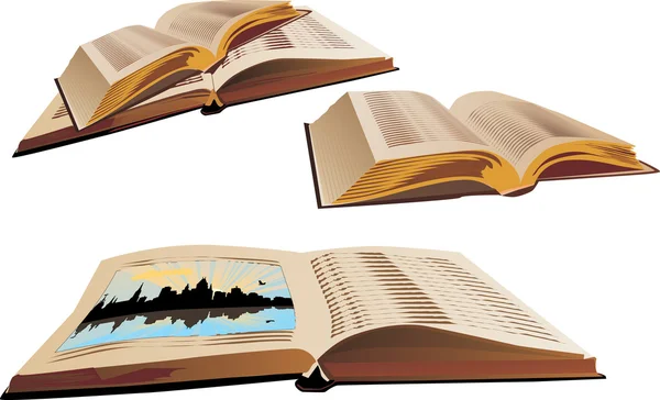 Négy nyitott könyv illusztráció — Stock Vector