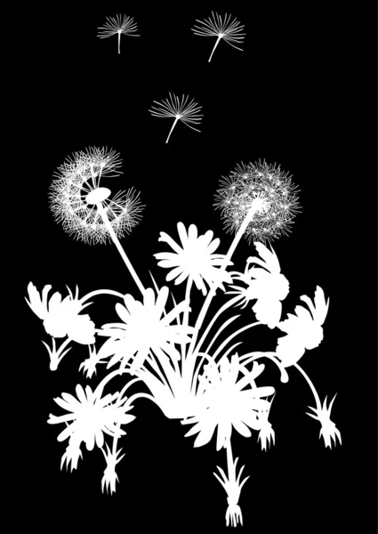 Одуванчики и цветы на черном — стоковый вектор