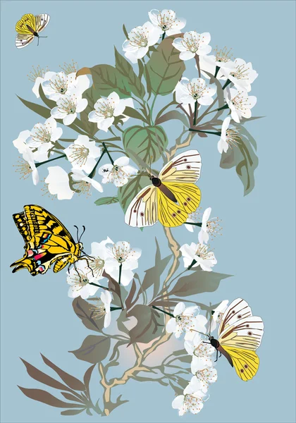 Flores de herry tree e borboletas amarelas —  Vetores de Stock