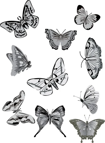 Colección de diez mariposas grises — Vector de stock