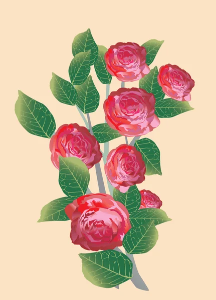 7 つの赤いバラの花束 — ストックベクタ