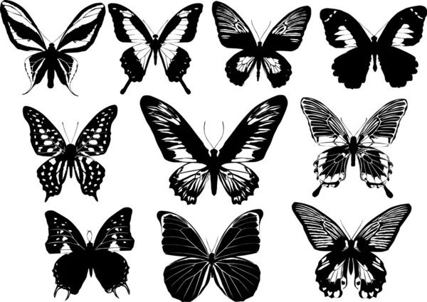 Zehn weiße und schwarze Schmetterlinge — Stockvektor