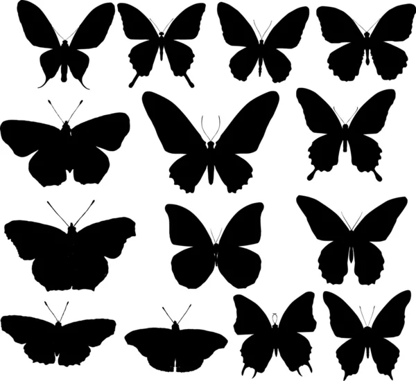 Fourteen butterfly silhouettes — Stock Vector