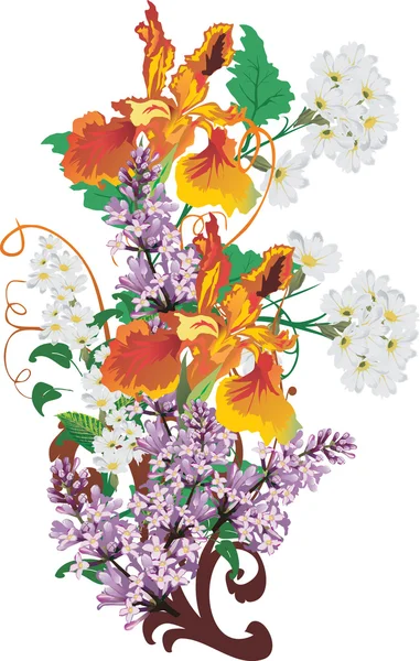 Oranje iris en lila bloemen — Stockvector