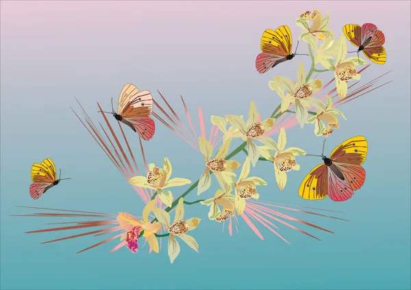蝴蝶和粉红色和蓝色 ochids — 图库矢量图片