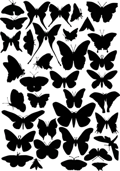 Treinta y seis siluetas de mariposa — Stockvector