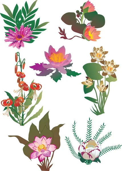 Lily met bladeren collectie — Stockvector