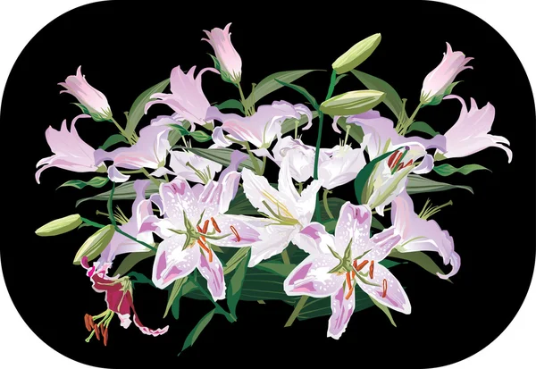 Light pink lily bouquet — Stock Vector
