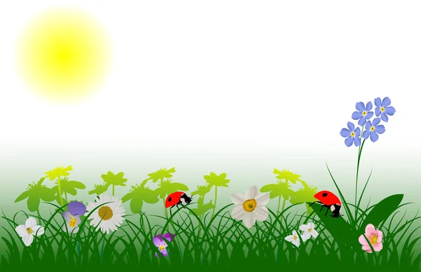 Ladybugs in flowers illustration — Stock Vector
