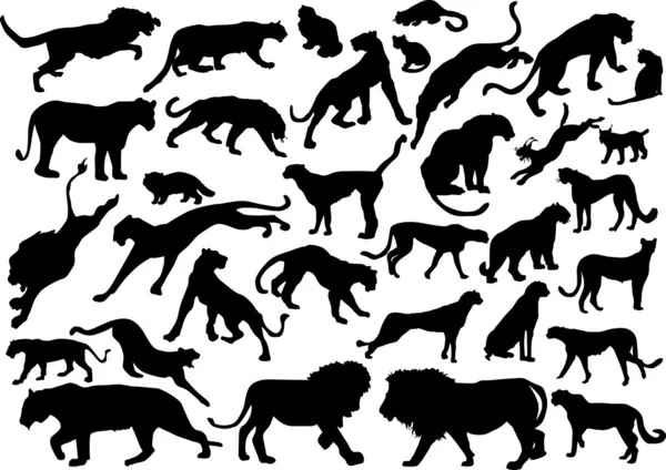 Treinta y tres siluetas Felidae — Archivo Imágenes Vectoriales