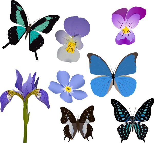 नीले तितली और फूल संग्रह — स्टॉक वेक्टर
