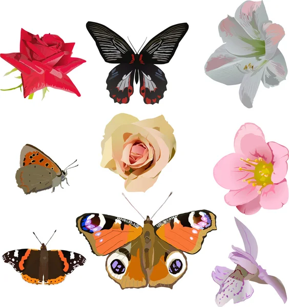 Sammlung roter Schmetterlinge und Blumen — Stockvektor