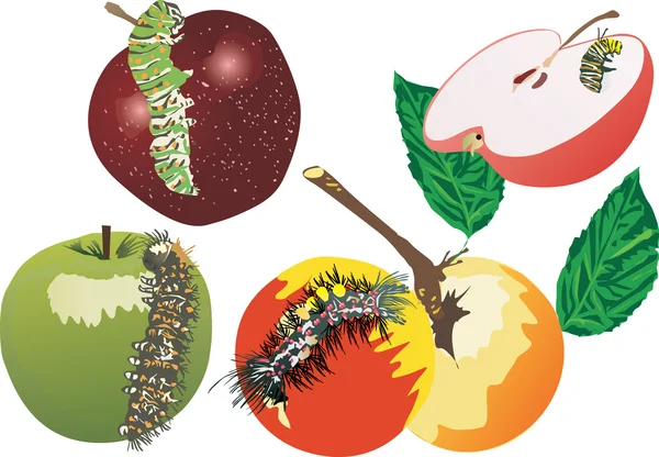 Ensemble de chenilles et pommes — Image vectorielle