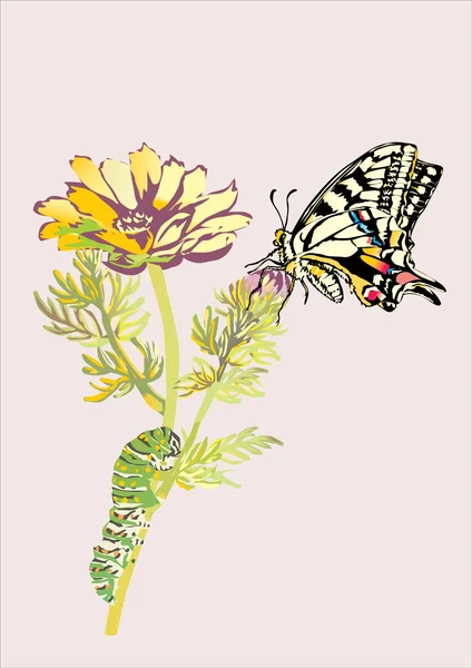 花、蝶、毛虫 — ストックベクタ