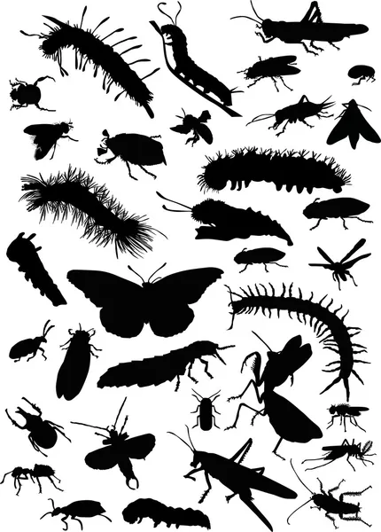 Raupen und andere Insekten — Stockvektor