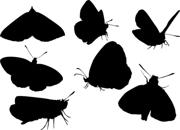 Seven butterflies silhouettes — Stock Vector