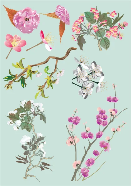 Colección de flores de cerezo — Archivo Imágenes Vectoriales