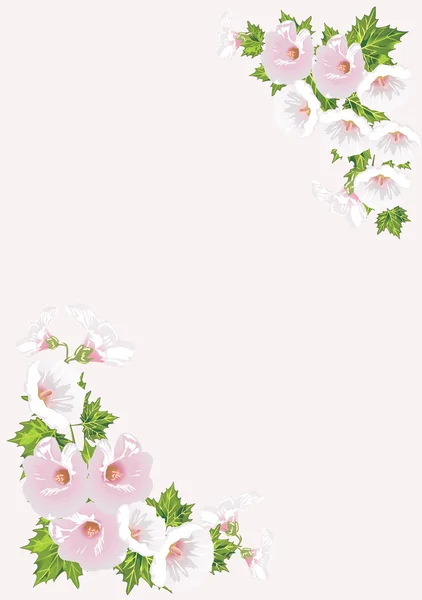 Pink campanula floral corners — Stock Vector