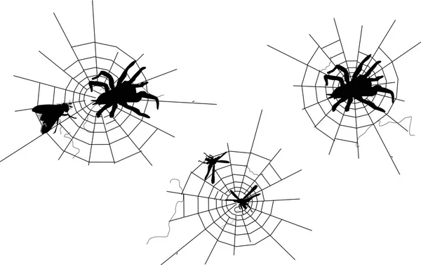 Drie spinnenwebben — Stockvector