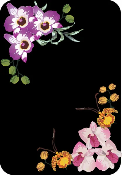 Coins d'orchidée rose et violet — Image vectorielle