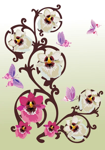 Orquídeas rosas e brancas em cachos marrons —  Vetores de Stock