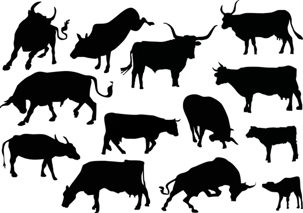 Treze silhuetas de vaca — Vetor de Stock