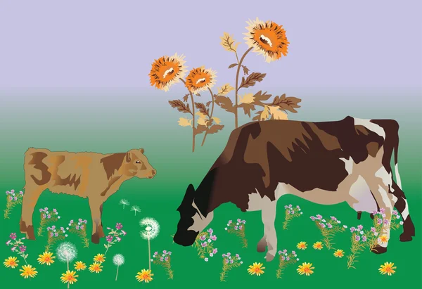Mucche sul campo con fiori — Vettoriale Stock
