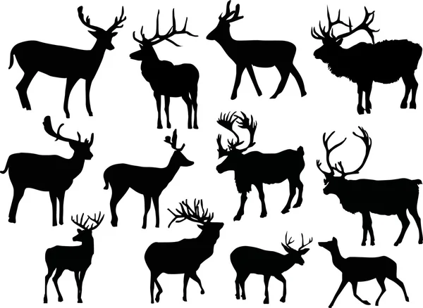 Douze cerfs isolés — Image vectorielle
