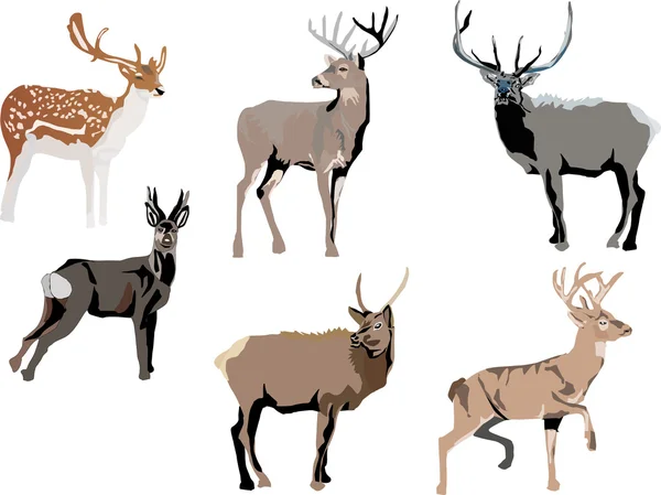 六色鹿 — 图库矢量图片