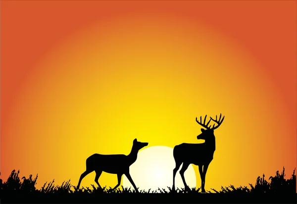日没の図で 2 つの鹿 — ストックベクタ