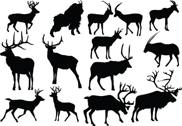 十四个长角的动物 — 图库矢量图片