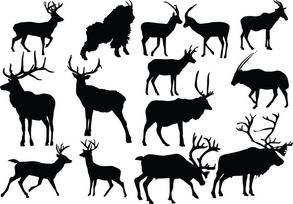 fourteen horned animals