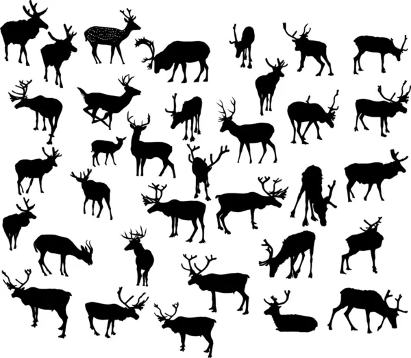 Trente-quatre silhouettes de cerfs — Image vectorielle