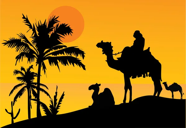 Zonsondergang met kamelen — Stockvector