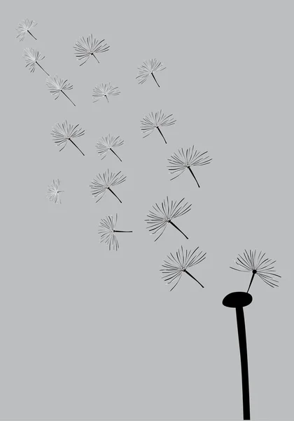 Single dandelion on gray — Stock Vector