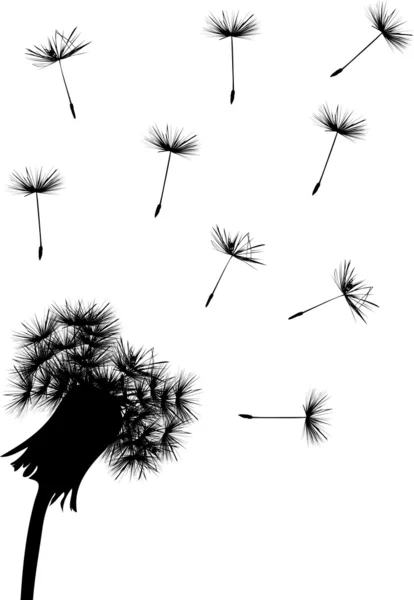 Black dandelion on white — Stock Vector