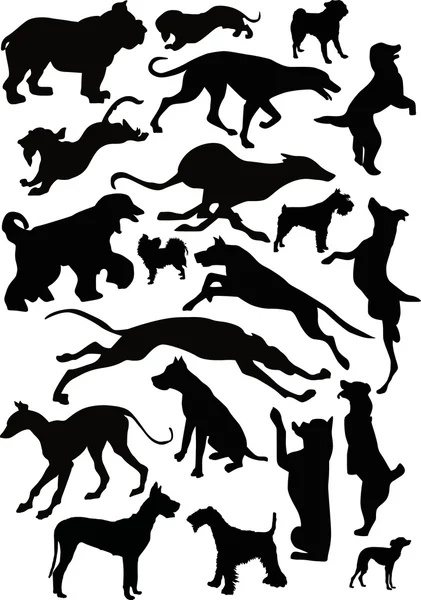 Twenty black dogs — Stock Vector