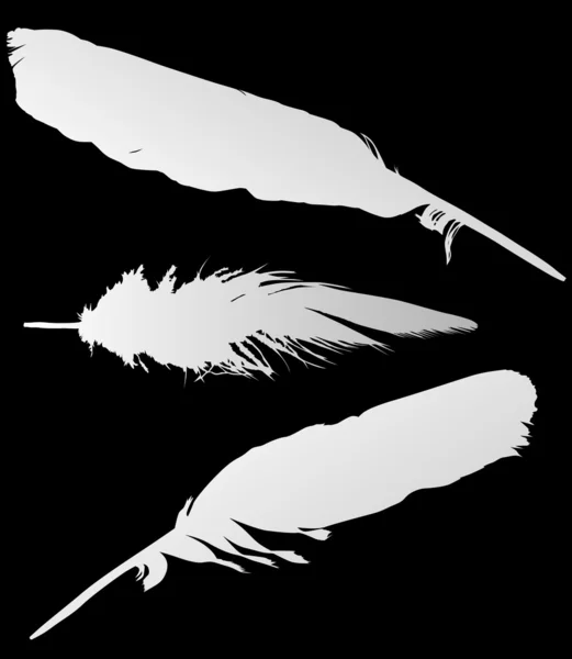 Three grey feathers on black — Stock Vector