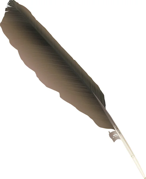Dark single feather illustration — Stock Vector