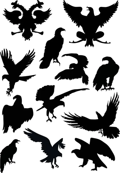 Twelve eagle silhouettes — Stock Vector