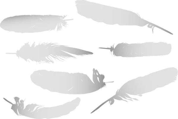 Ilustración de siete plumas ligeras — Vector de stock