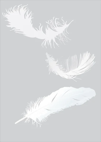 Conjunto de tres plumas blancas — Vector de stock