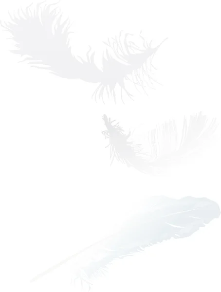 Drie witte veren illustratie — Stockvector