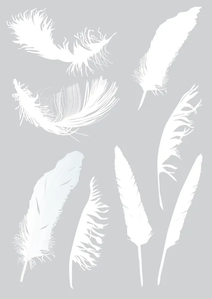 Eight white feathers — Stock Vector