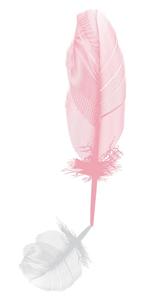 Pink feather and grey shadow — Stock Vector