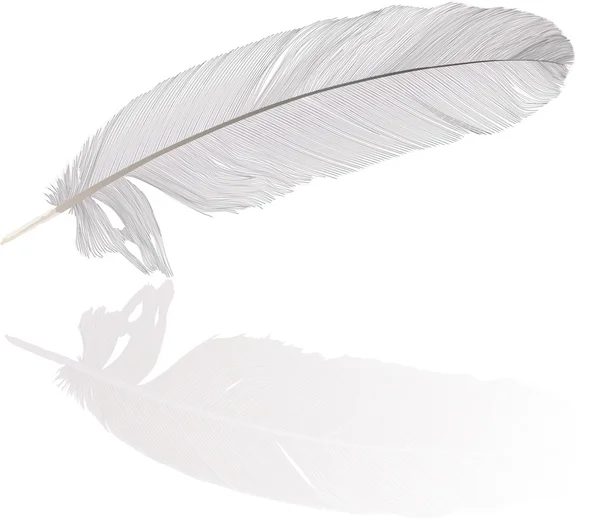 詳細な羽と反射 — ストックベクタ